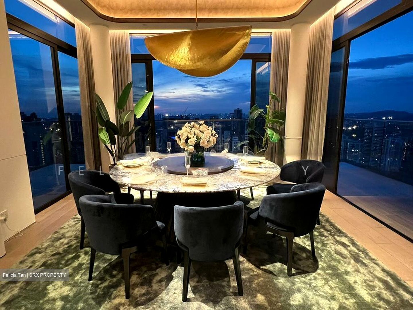 The Ritz-Carlton  (D9), Condominium #504076771